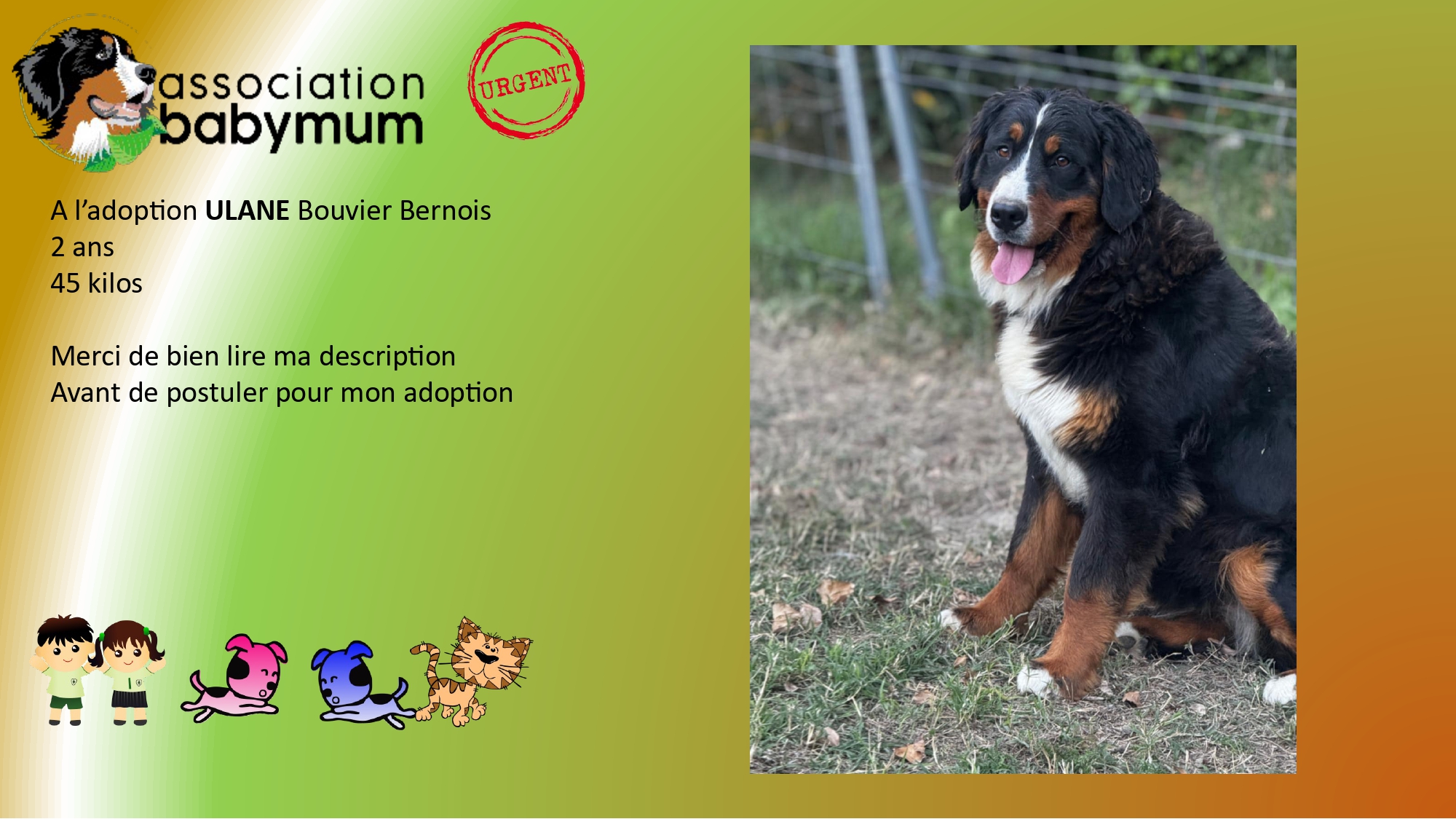 ADOPTEE LE 25/06/2025