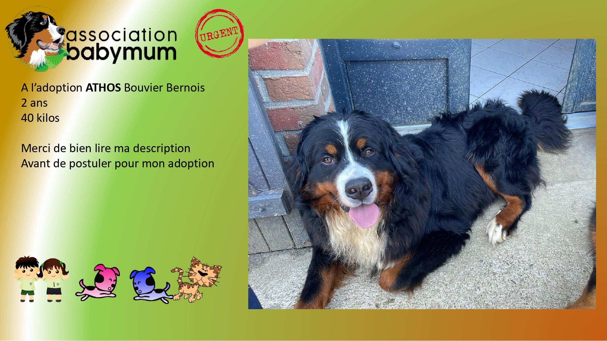 A L'ADOPTION