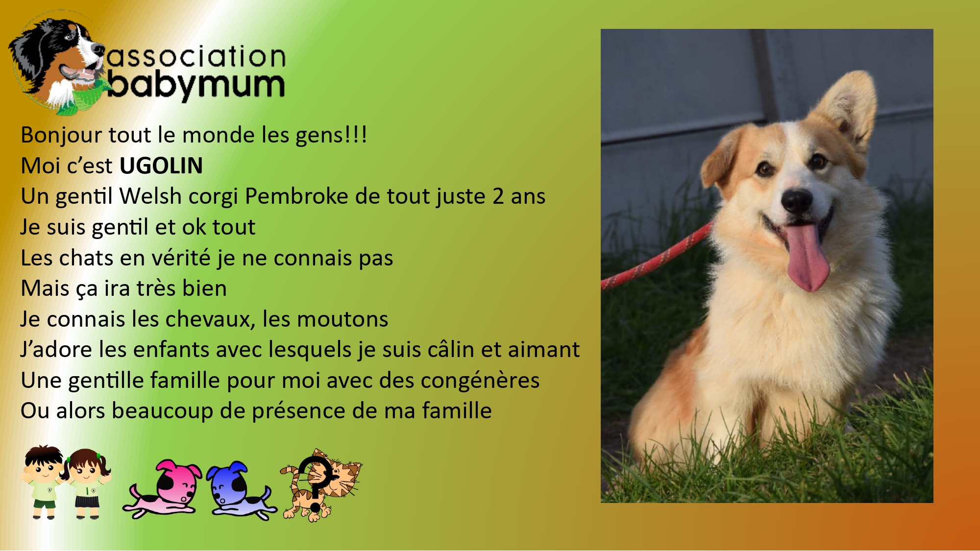 ADOPTE LE 27/04/2025