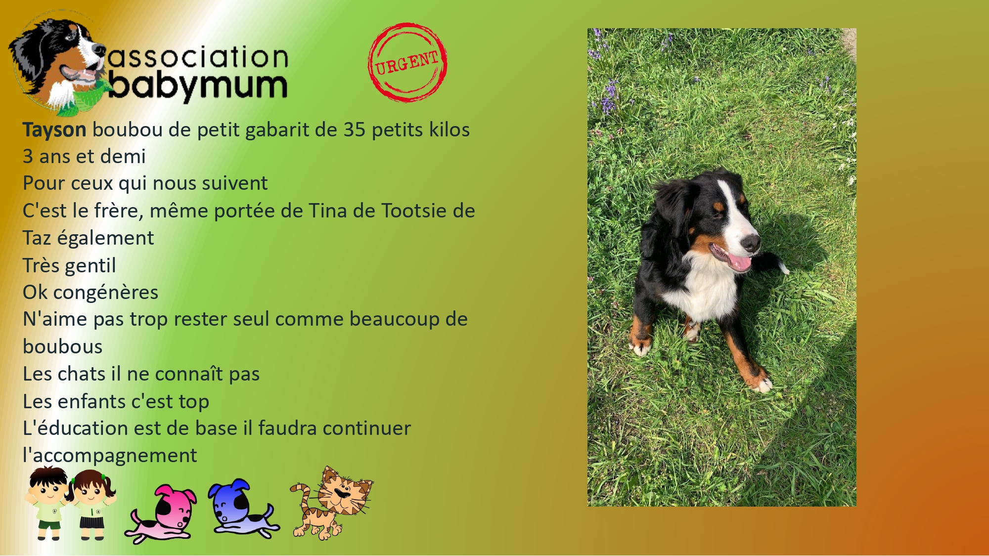 ADOPTE LE 10/05/2026