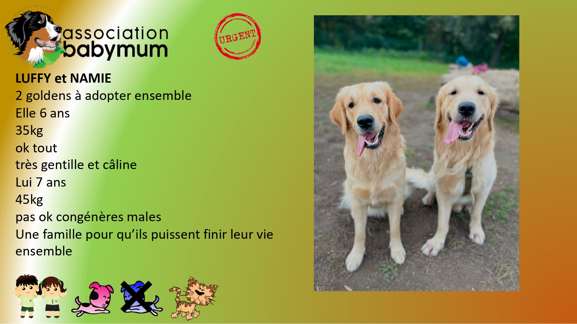 A L'ADOPTION ENSEMBLE