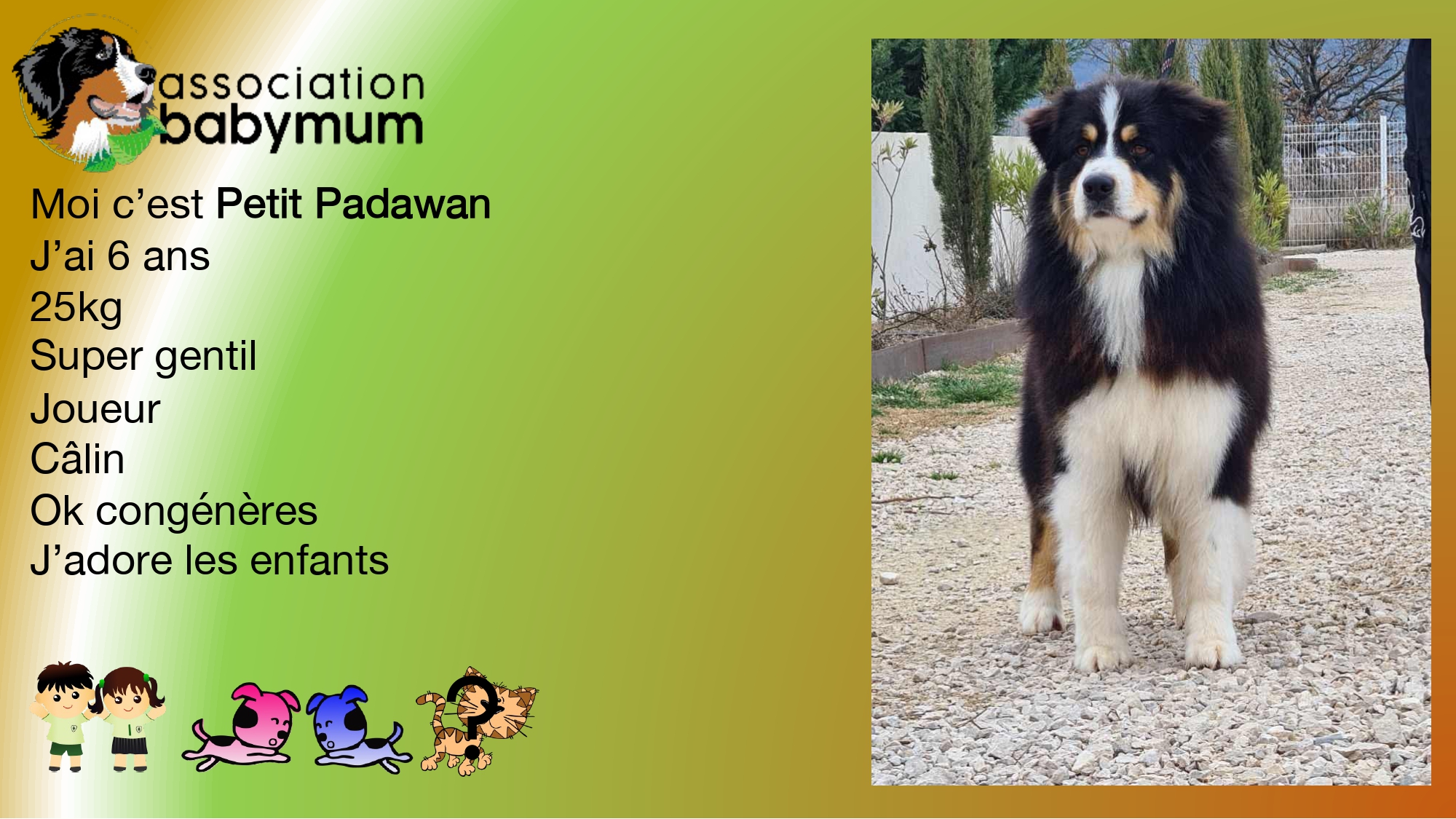 A L'ADOPTION