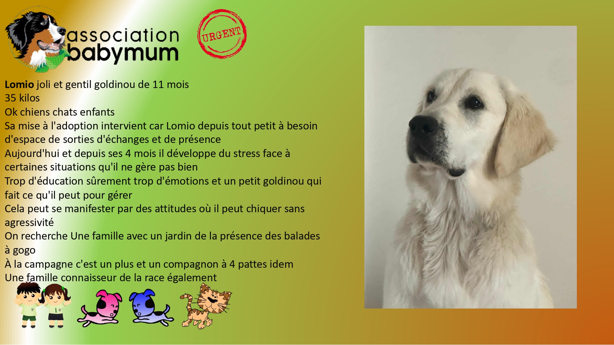 A L'ADOPTION