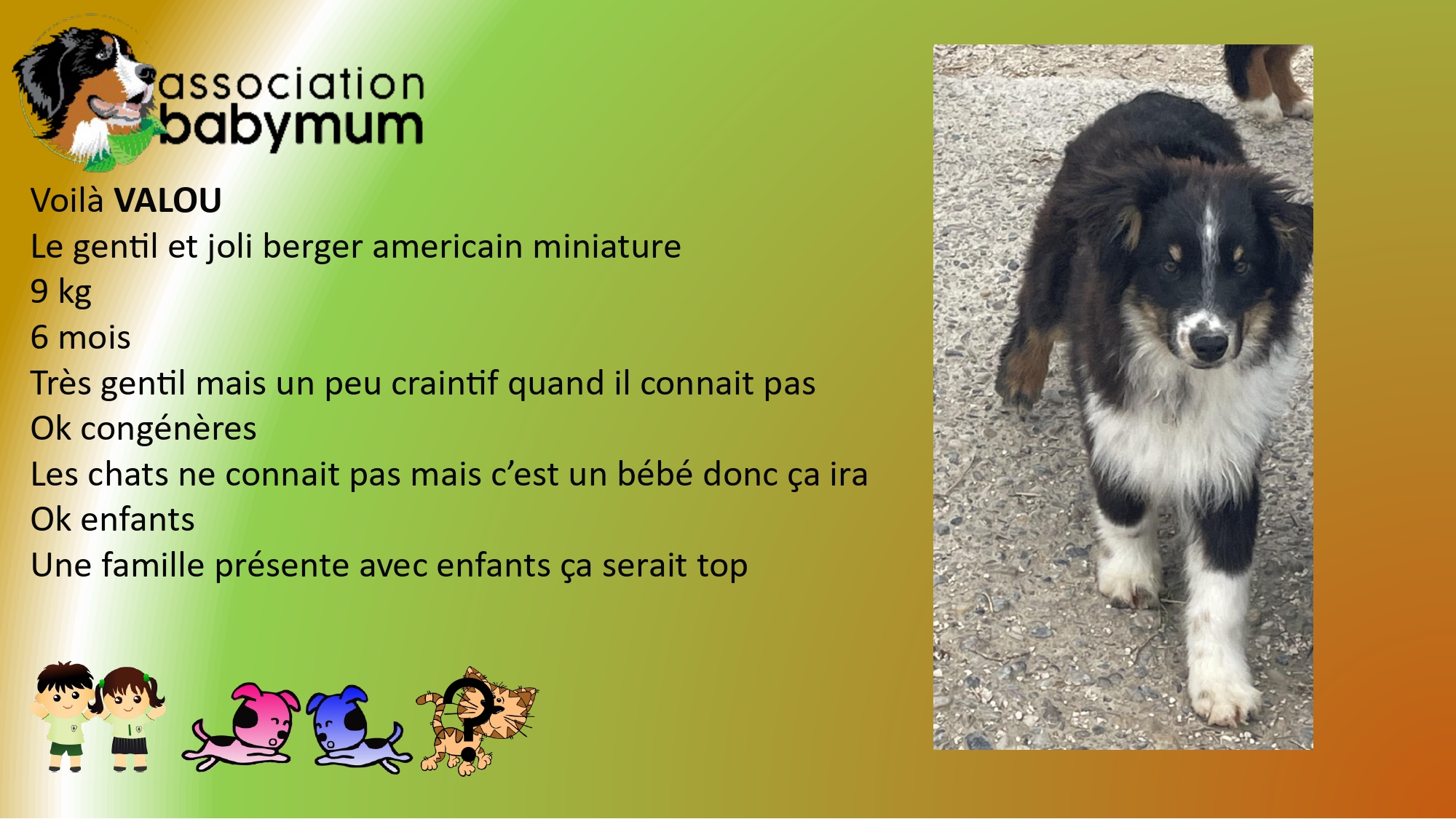 ADOPTE LE 10/05/2025