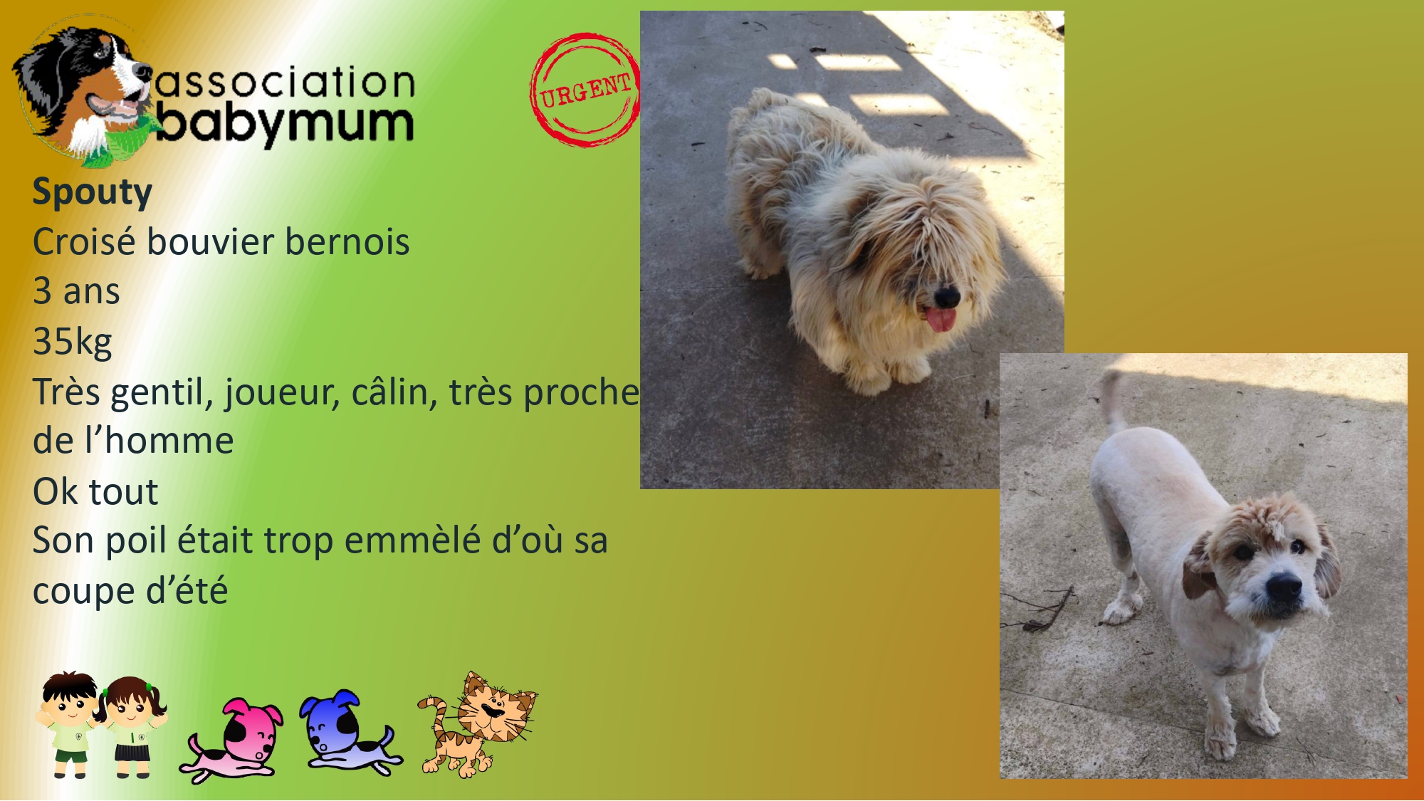 A L'ADOPTION