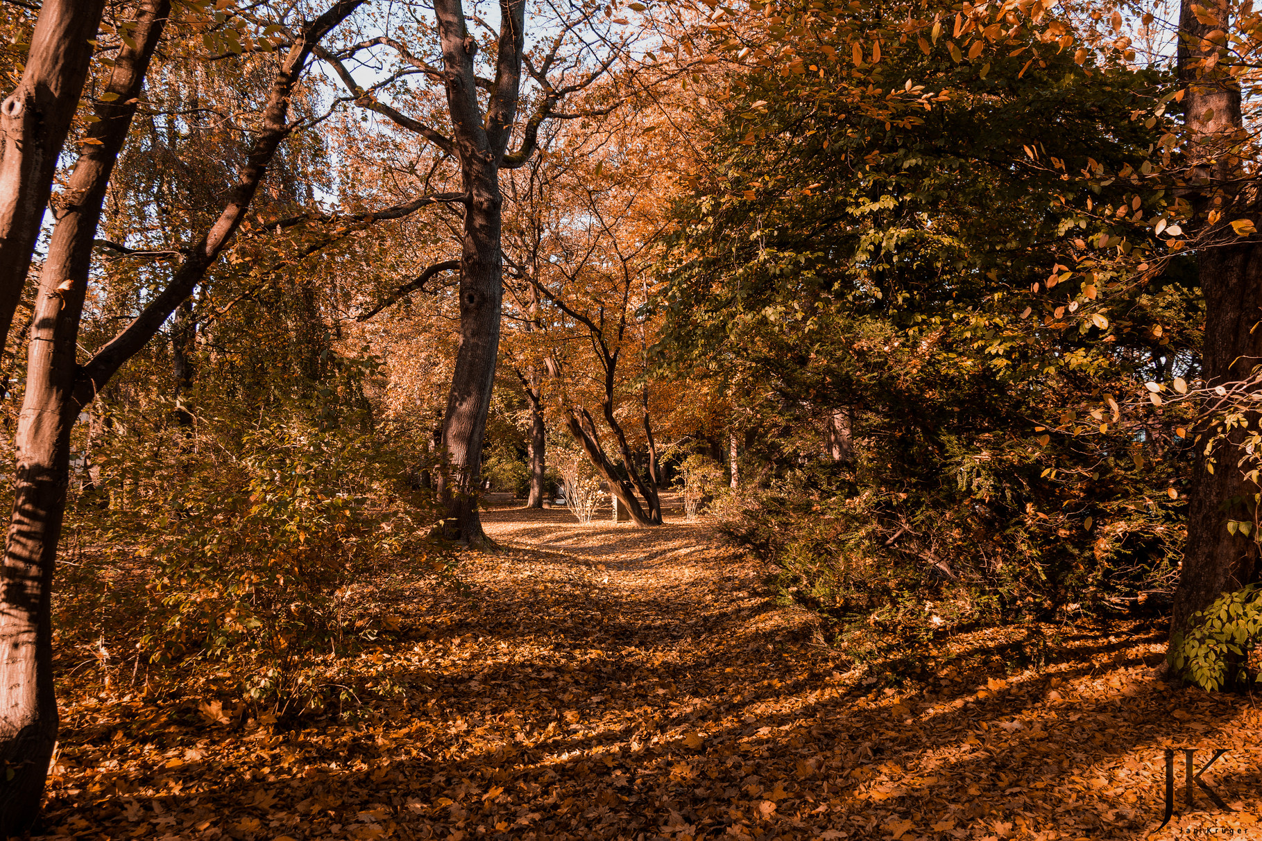 Herbstspaziergang auf dem Alten Friedhof in Flensburg