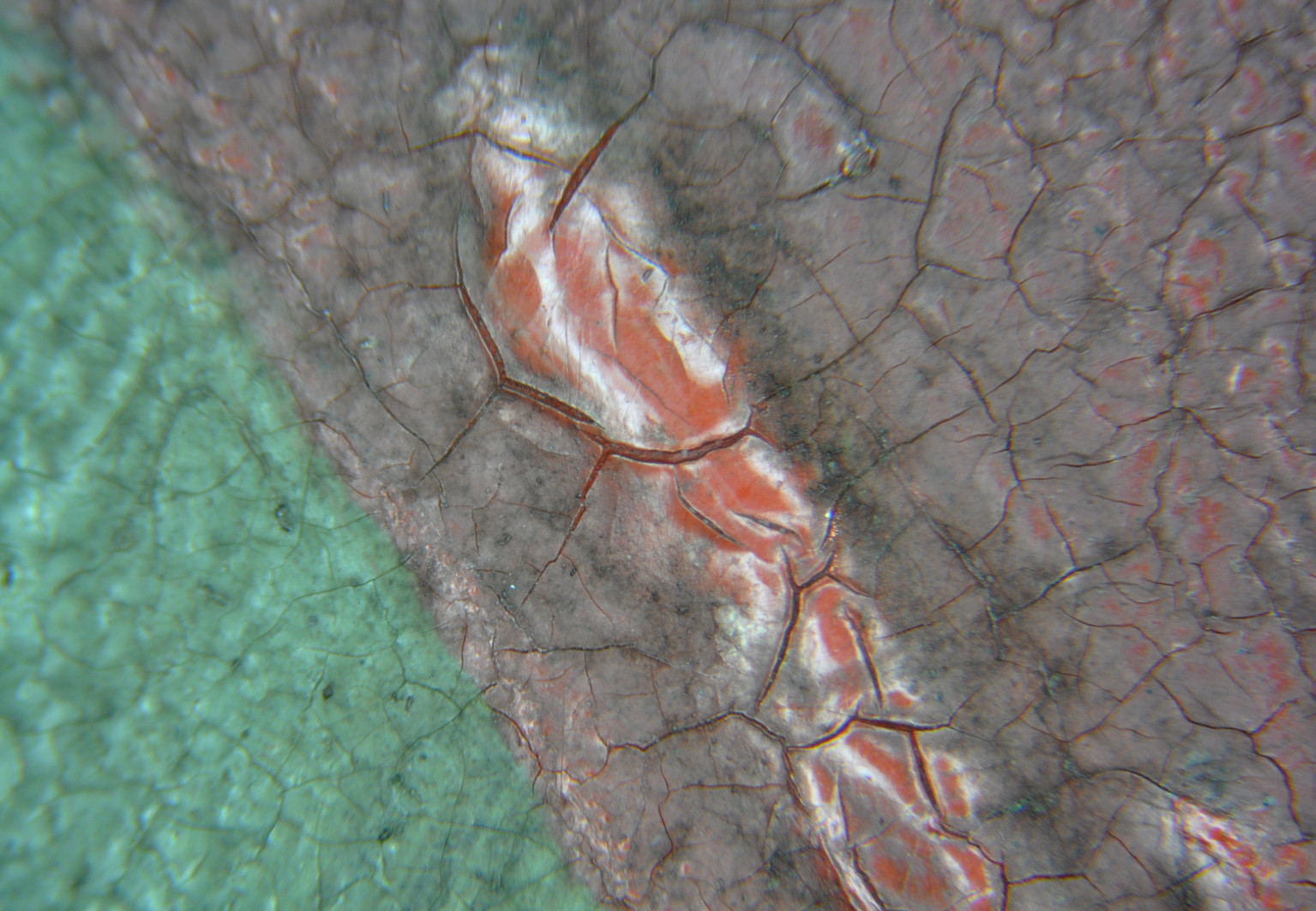 Dipl. Restauratorin Marina Emons | Projekte - Restaurierung Bonn