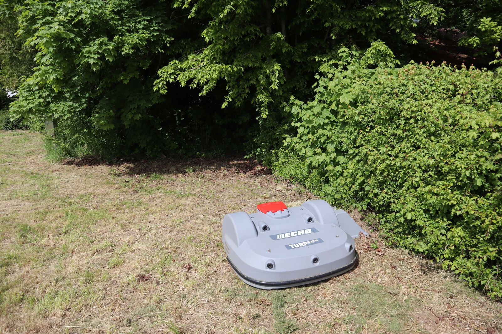 Der Mähroboter