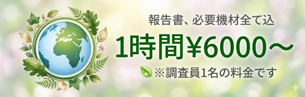 浮気調査　費用　料金