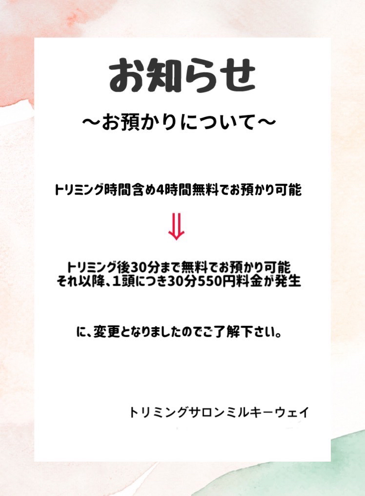 5月15日(月)から