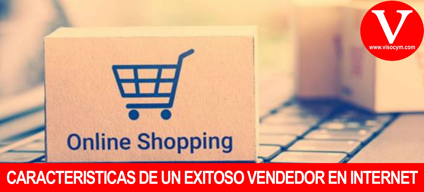 Caracteristicas de un exitoso vendedor en internet
