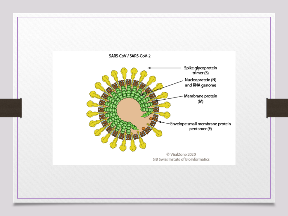 Sir Arthur Reginald Stephen-Count of Virus II.