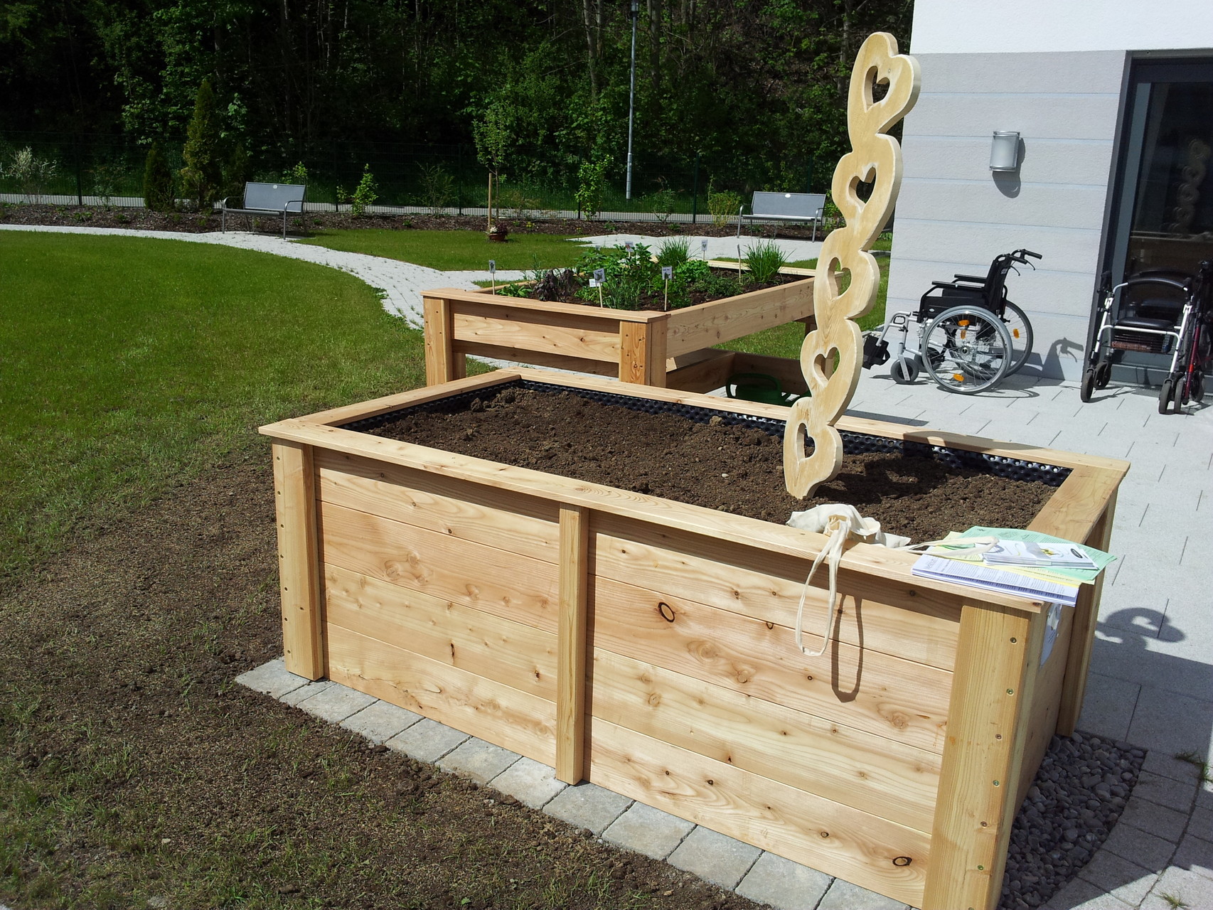 gesundes Gemüse aus dem eigenen Garten