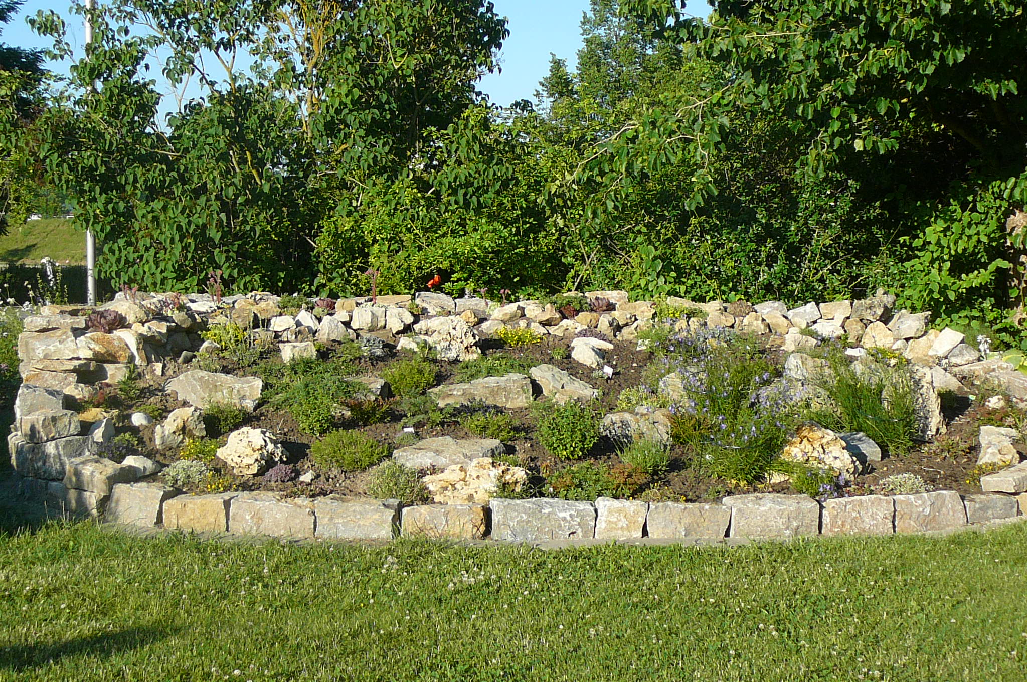 Steingarten "Stauden-Arena"
