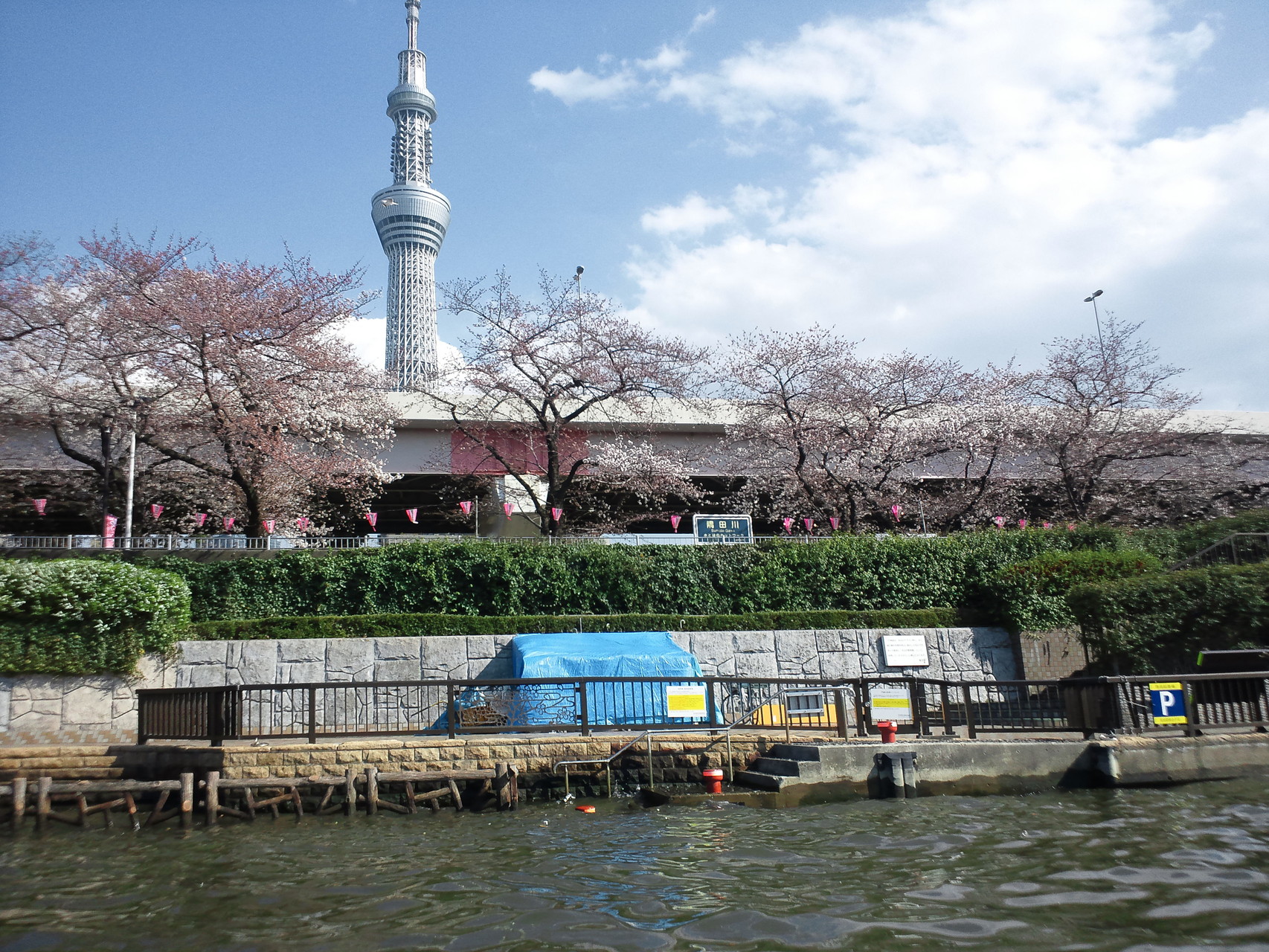 東京湾・教習艇でスキルアップ！