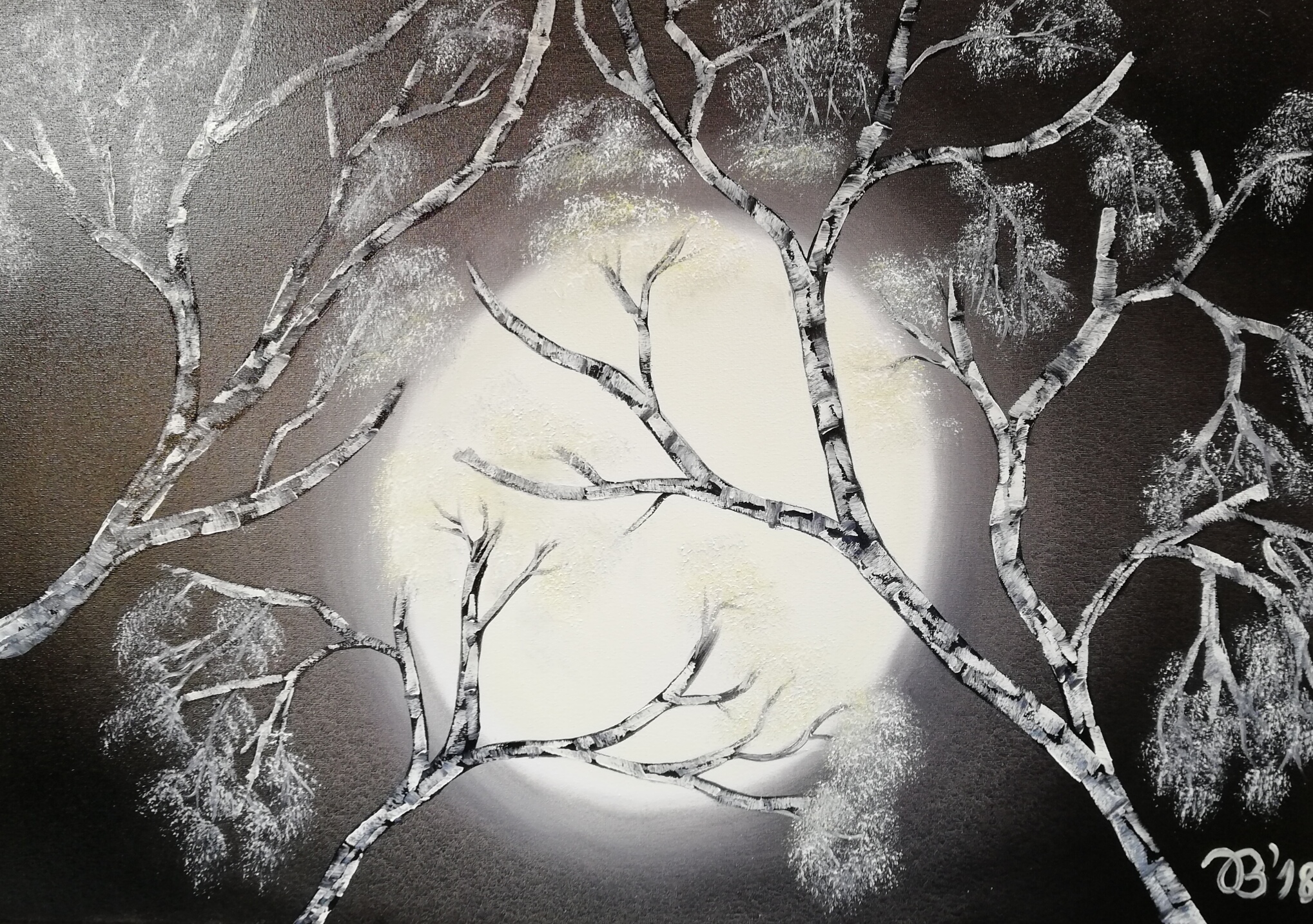 (70)     Mondbirke     70 cm x 50 cm