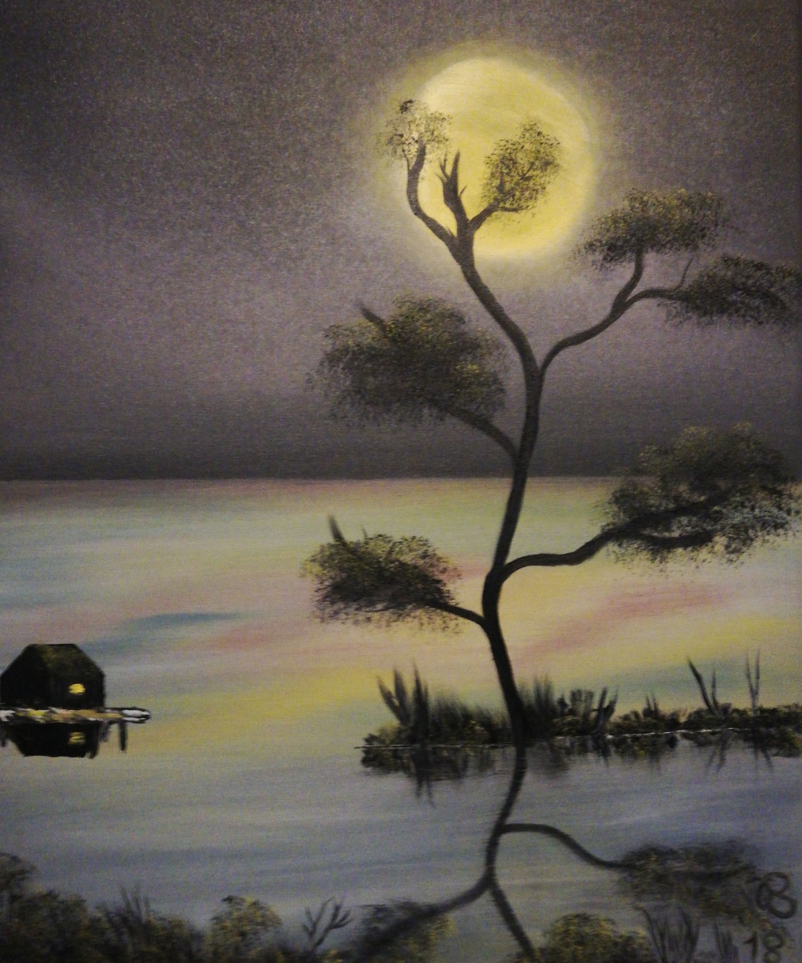 (67)     Mondenschein     50 cm x 60 cm