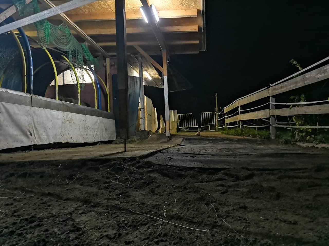 Heuraufe beleuchtet