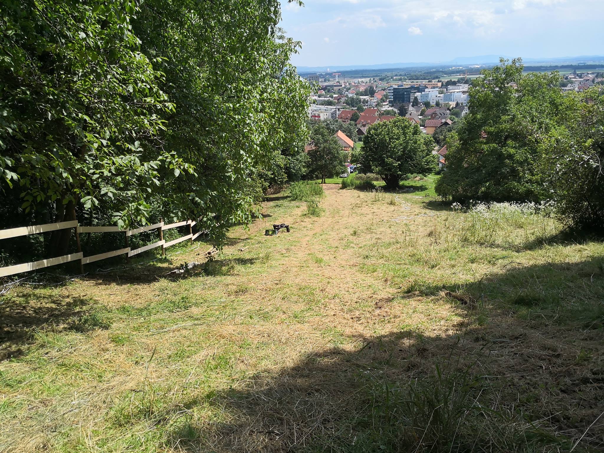 2018 renovierte Bergweide mit festen Zaun an den Waldseiten