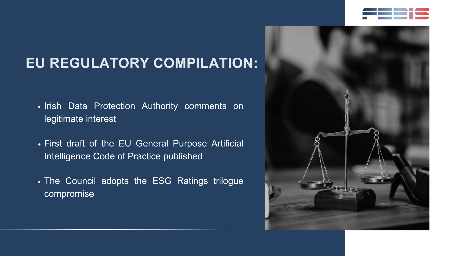 EU Regulatory issues