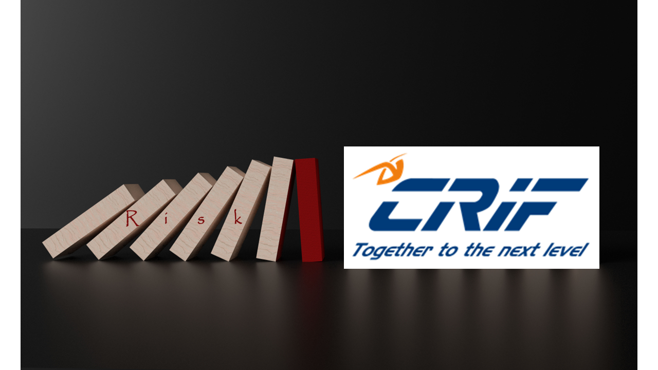 How to control the risk of worldwide business partners in an economic crisis scenario
