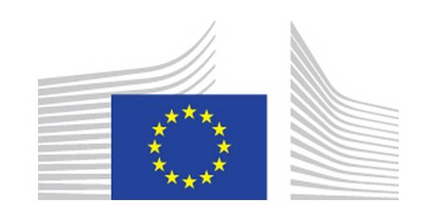 The Commission adopts the European Sustainability Reporting Standards