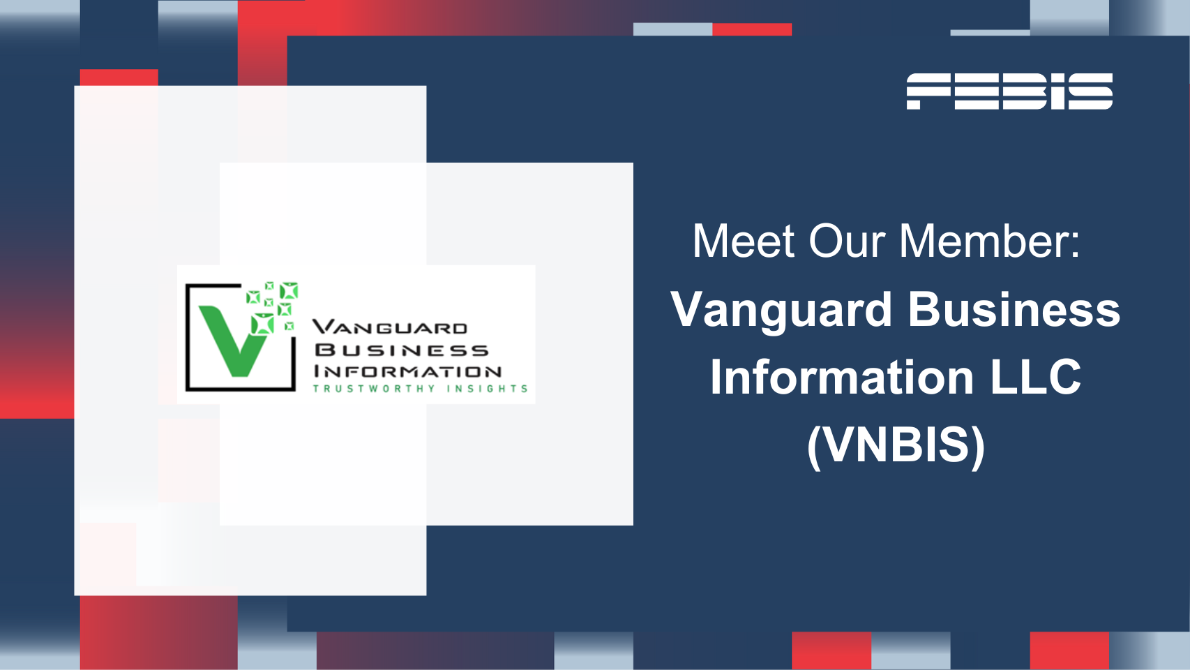FEBIS welcomes Vanguard Business Information LLC (VNBIS) as a new Member