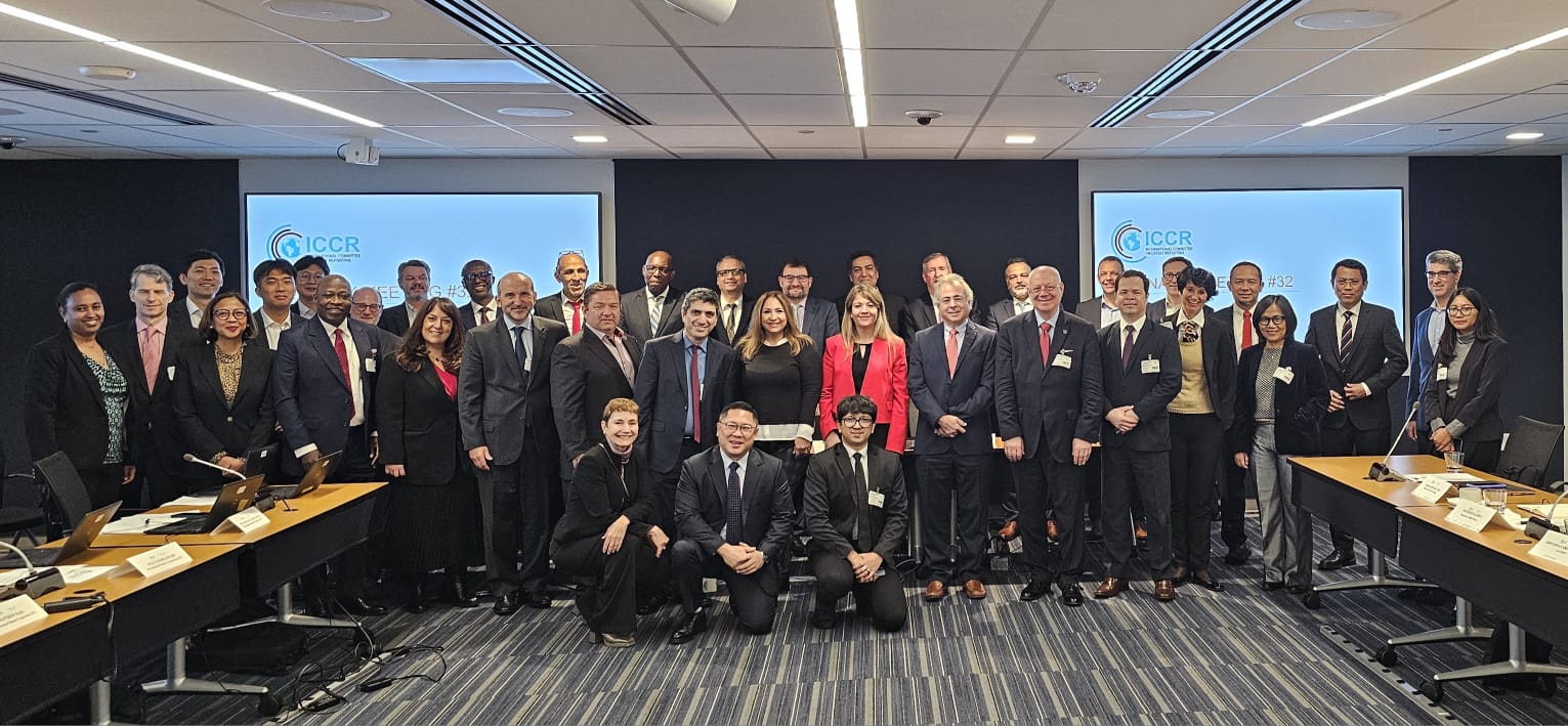 FEBIS participated in the new strategic plan (2025-30) of the ICCR