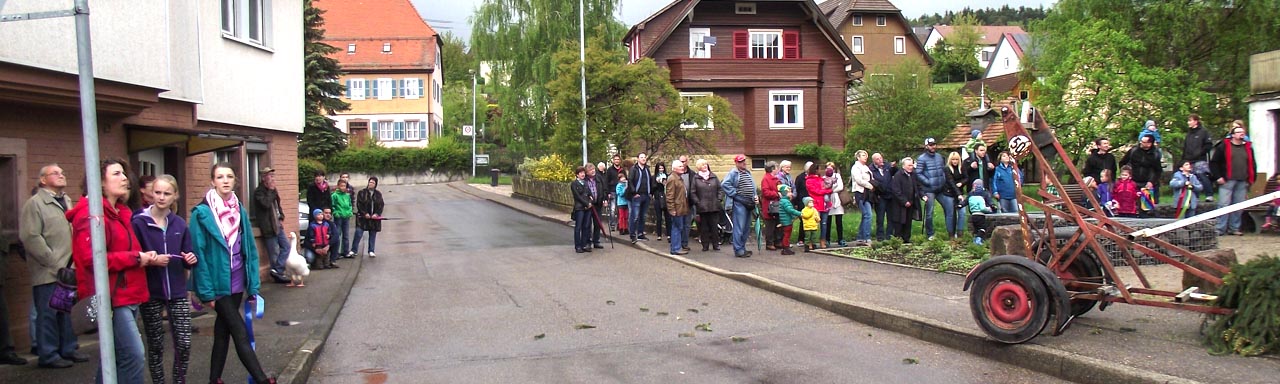 Alle sind voller Staunen bis der große Maibaum steht.