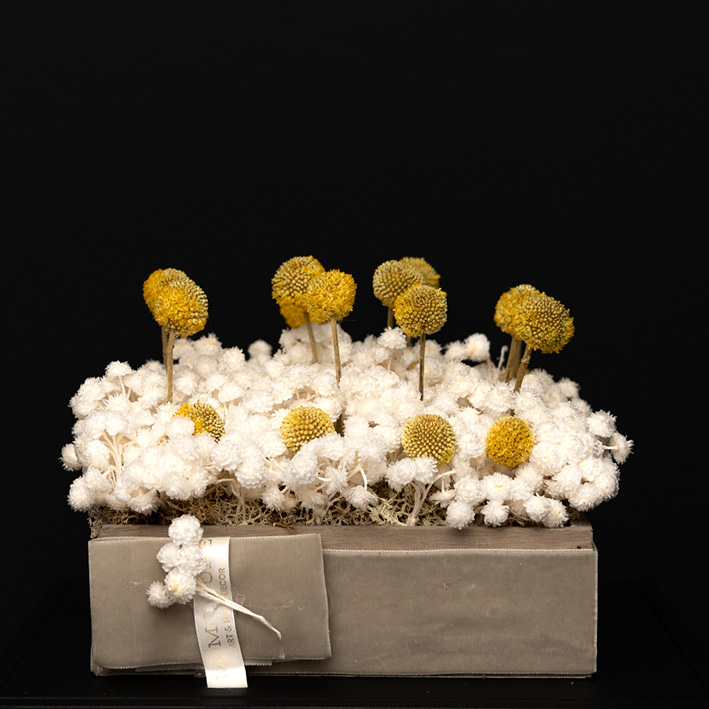 MOMO PURE Florale Dauerkompositionen von Giovanna Molinari-Casile