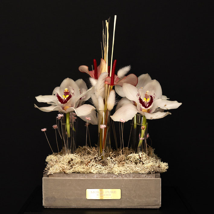 MOMO PURE Blumen Echt Dekor von Giovanna Molinari-Casile