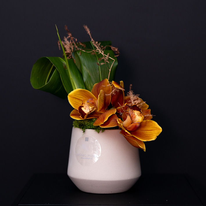 MOMO PURE Blumen Echt Dekor von Giovanna Molinari-Casile