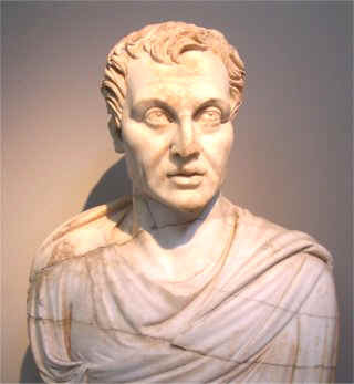 MENANDRO Página web de poliarete