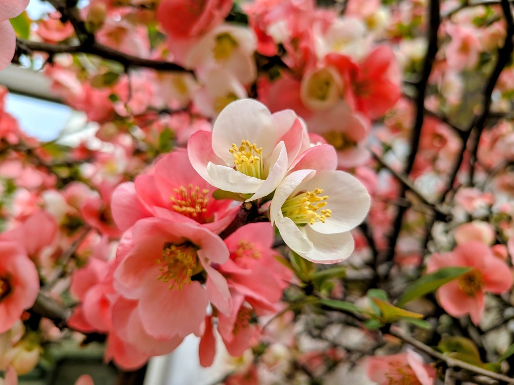継続は力に