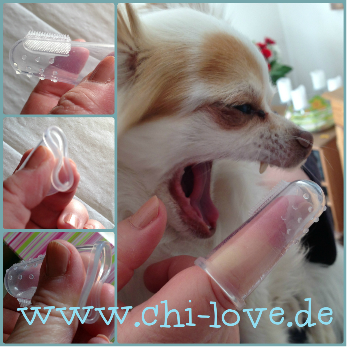 Reduziert chilove.de
