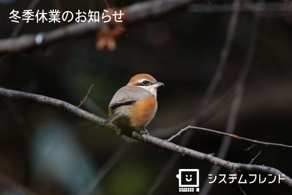 冬季休業のお知らせ