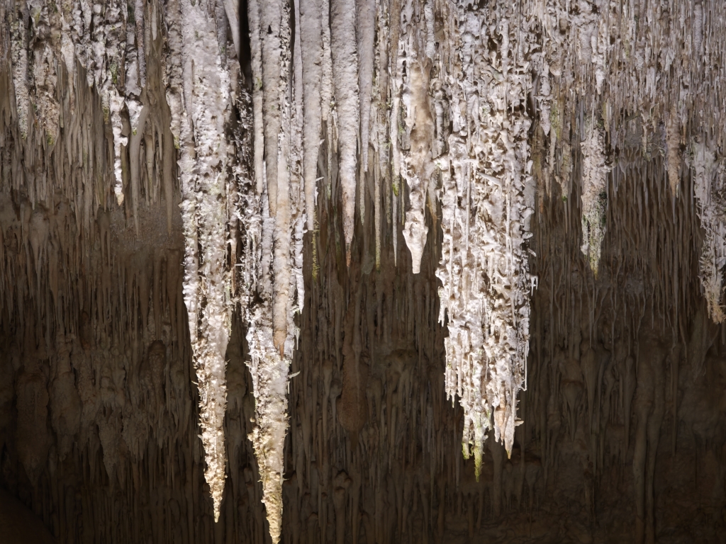 Cuevas del drach - Motor Trip par Restaurant / Bar Le Motor Grill