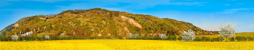 Foto von Andreas Zwenig "DER BISAMBERG"