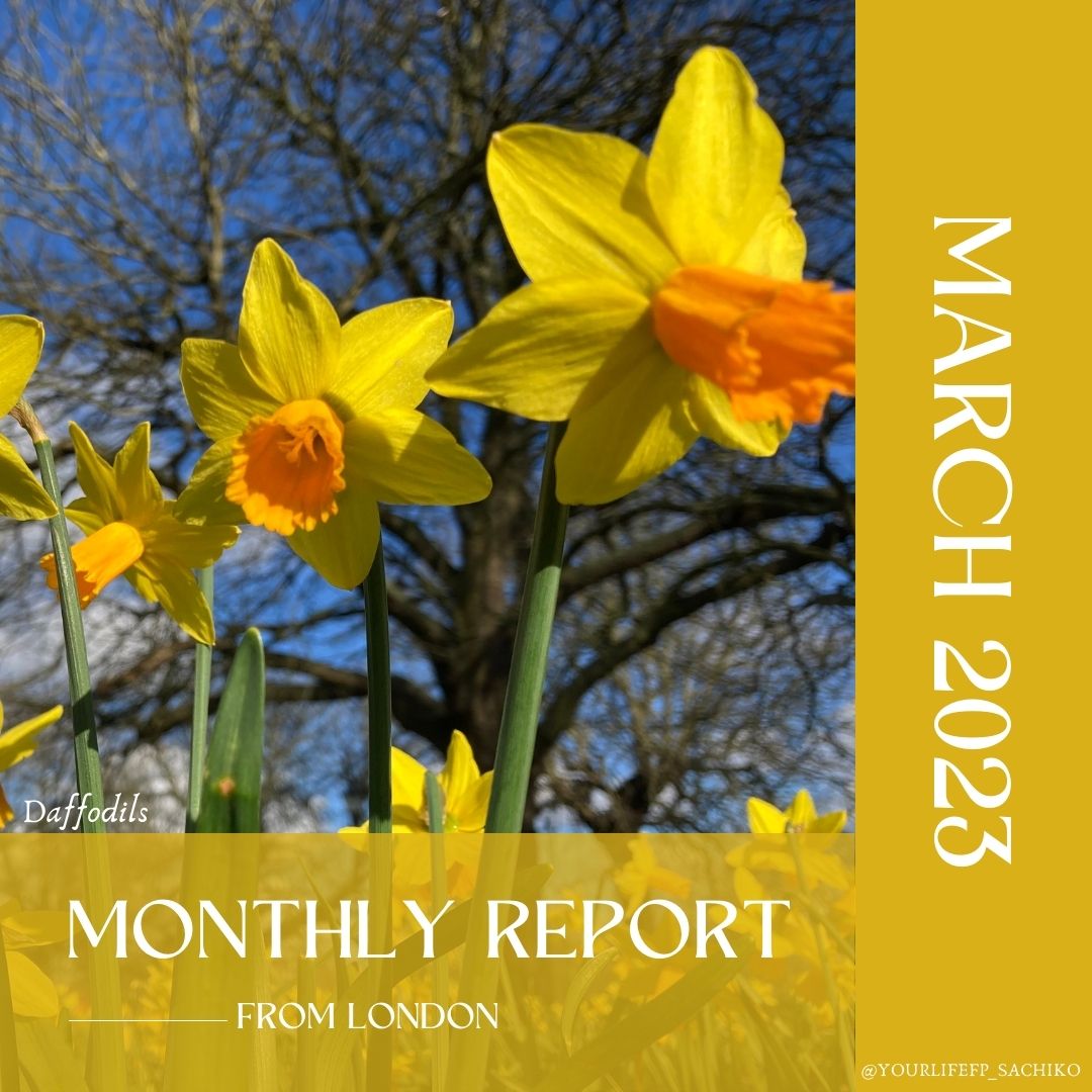 2023年3月のMonthly Report from London