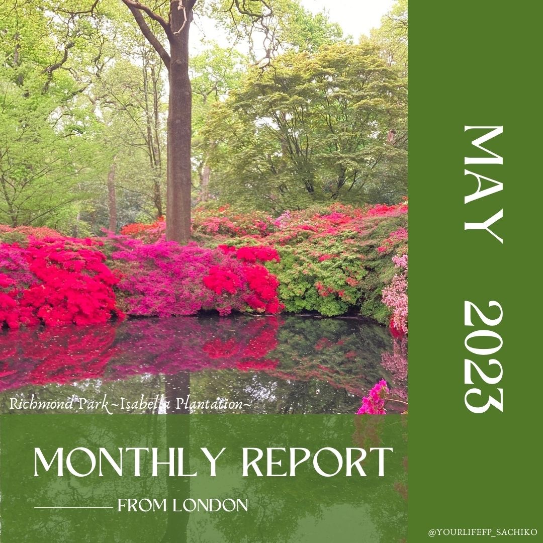 2023年5月のMonthly Report from London