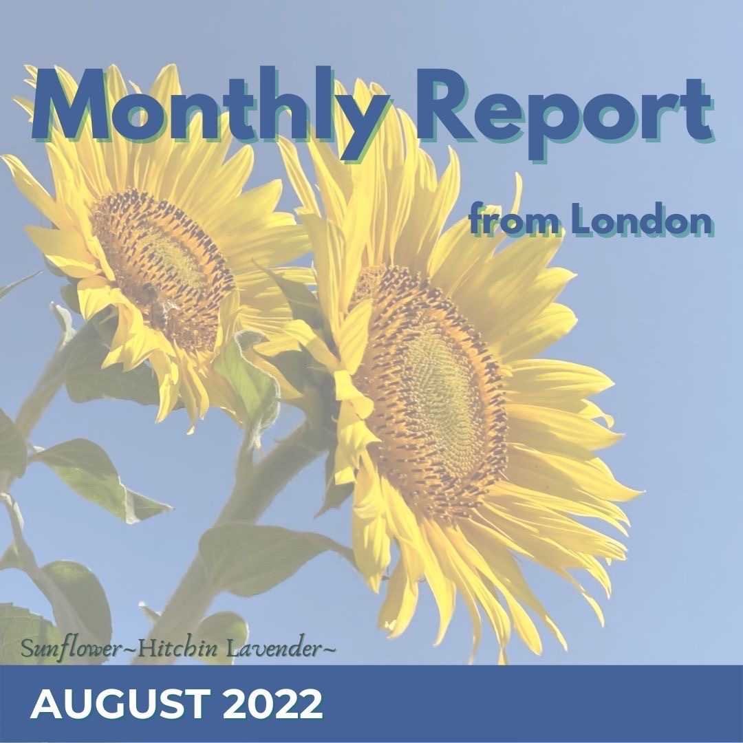 8月のMonthly Report from London