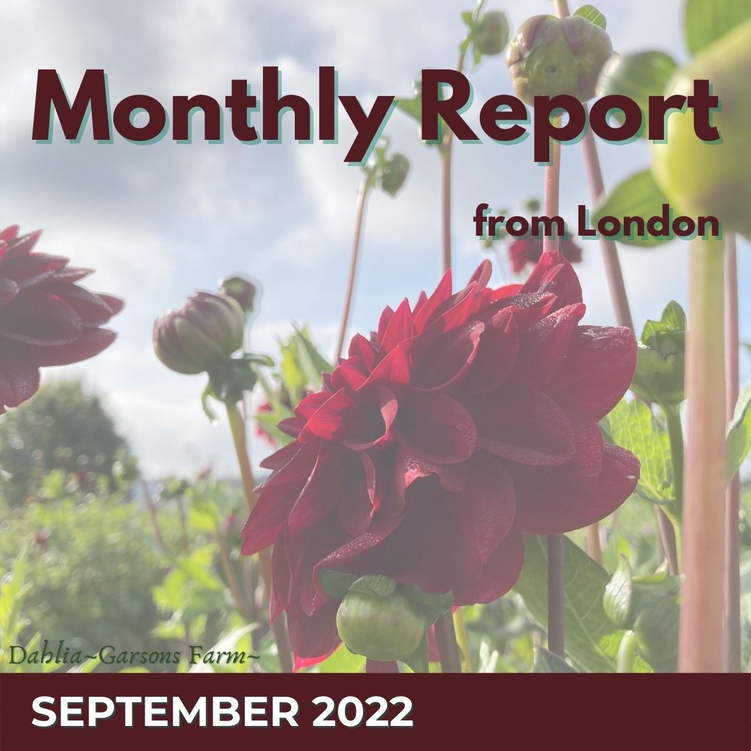 9月のMonthly Report from London