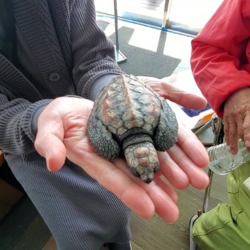 【和歌山の串本へリフレッシュ旅】晴天にも恵まれいつもながら気楽で楽しく充実し旅となりました～♪