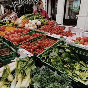 Selber zum Markt gehen - für viele Betriebe gibt es effizientere Wege, die passende Qualität einzukaufen. Foto von Ashley Winkler auf Unsplash