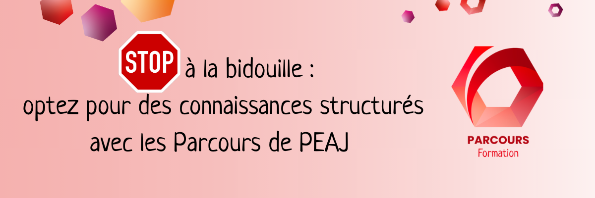 STOP-BIDOUILLE