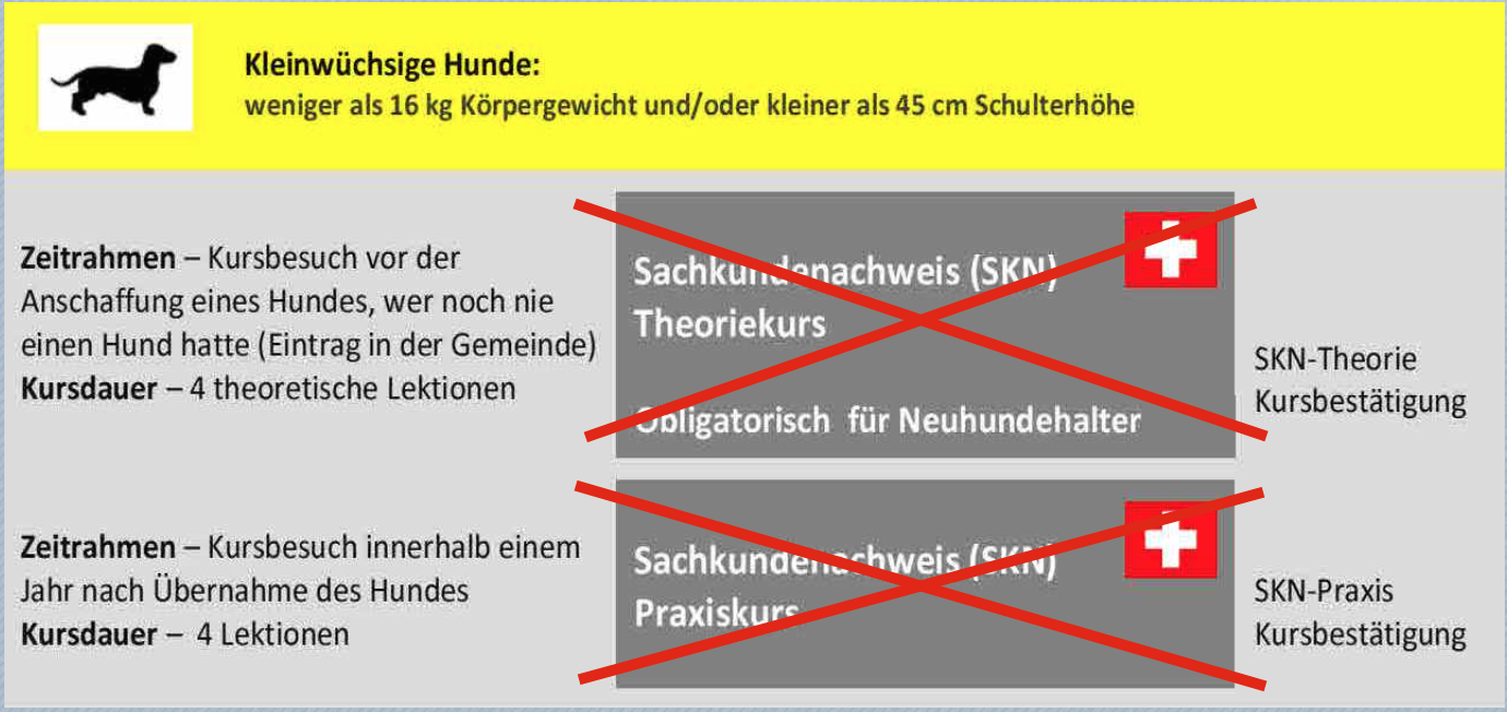 informationen obligatorische kurse im kanton zh gemeinsam unterwegs mit hunden