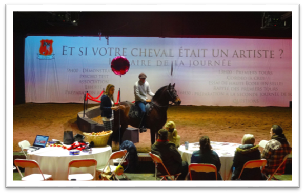 Equestrio  Formation en art équestre : maîtrisez les techniques du métier  du spectacle équestre