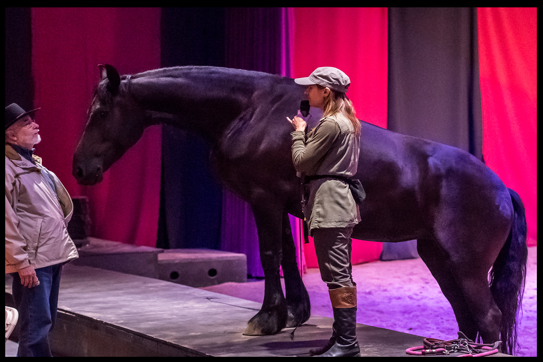 Equestrio  Formation en art équestre : maîtrisez les techniques du métier  du spectacle équestre