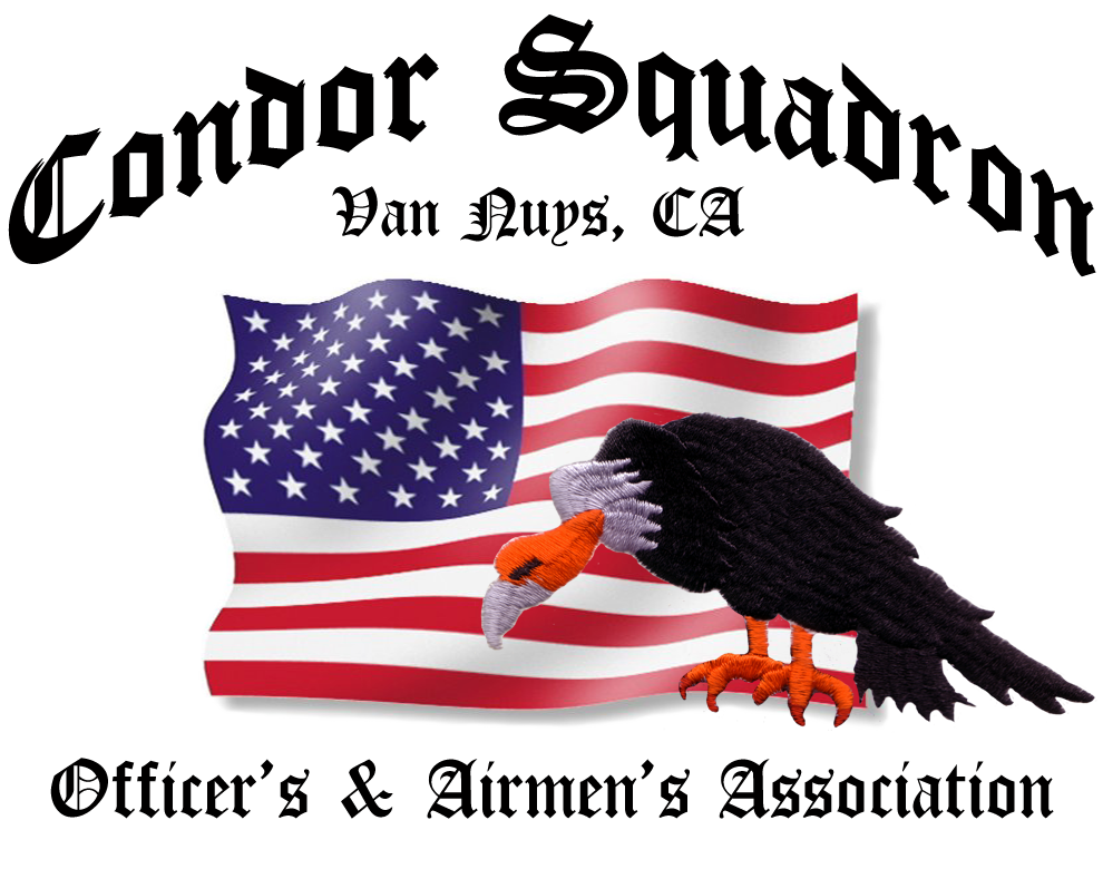 Info The Condor Squadron