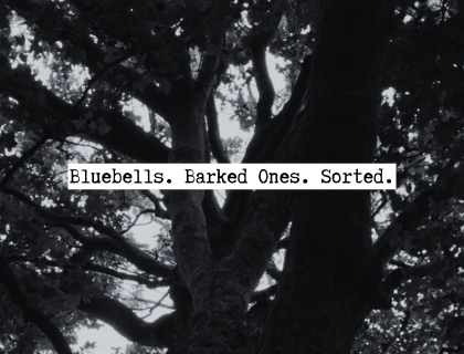 Staghelm – Natura Semper Praevalet